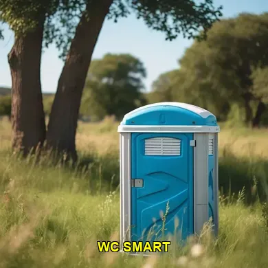 Panduan Memilih Wc Smart Terbaik untuk Kebutuhan Anda